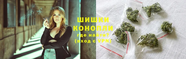 гашик Майский