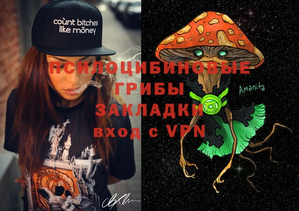 тгк Алзамай
