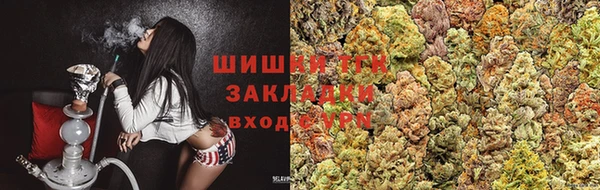 тгк Алзамай