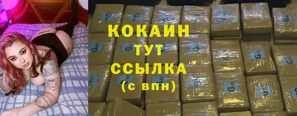 тгк Алзамай