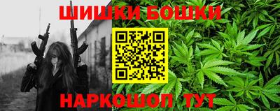 гидра Можга