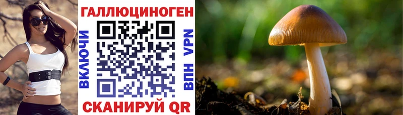купить   Новороссийск  Галлюциногенные грибы ЛСД 