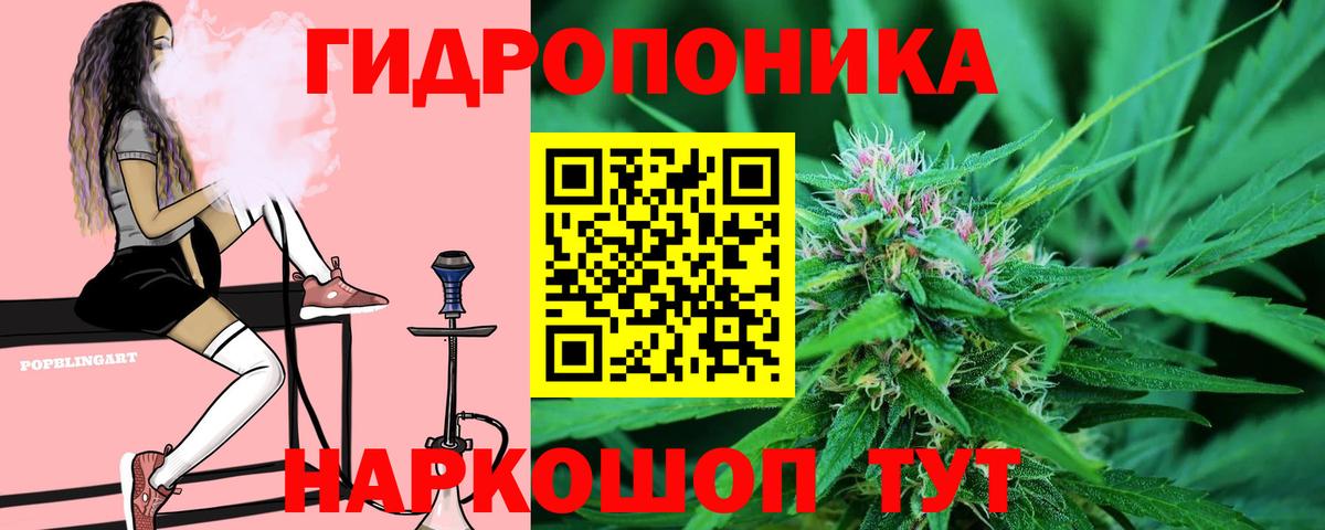 Шишки марихуана гибрид Новороссийск